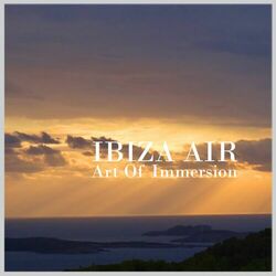 Cover of Art Of Immersion