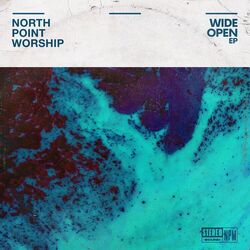 Cover of Wide Open (feat. Clay Finnesand)