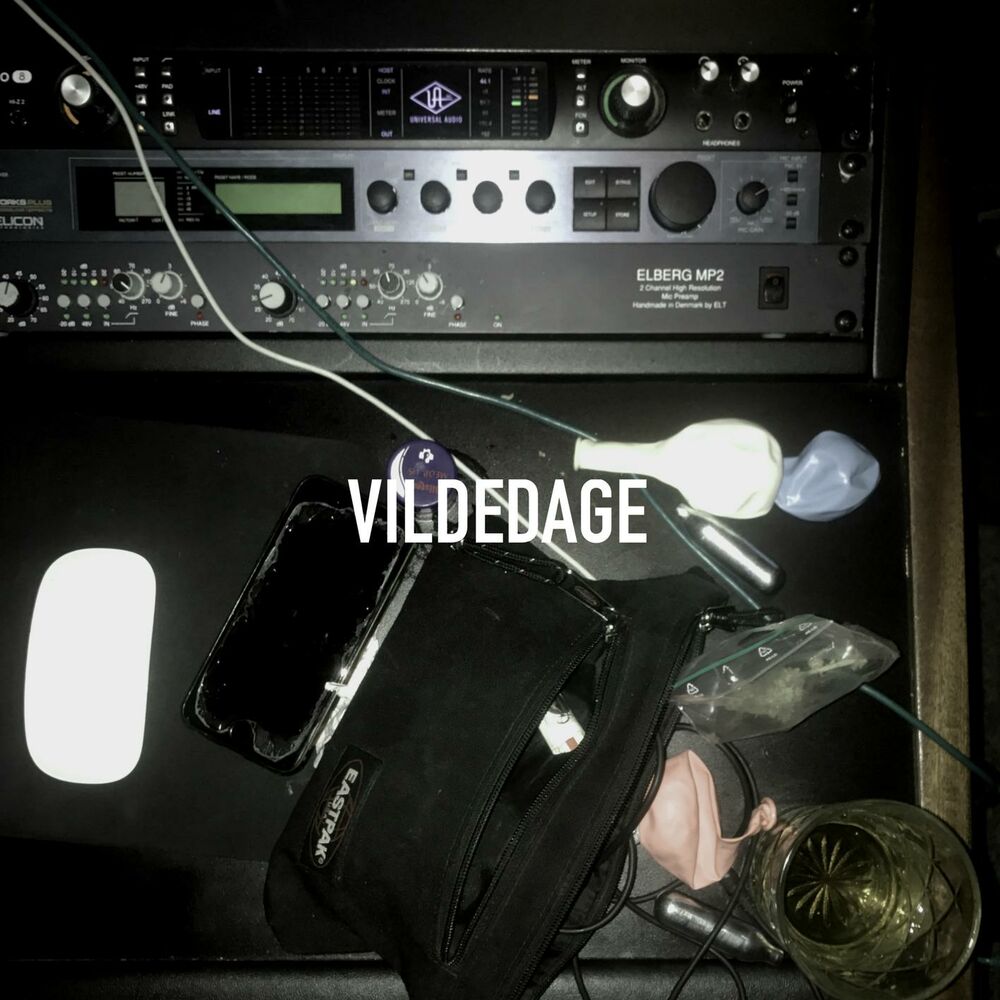 Picture of VILDEDAGE