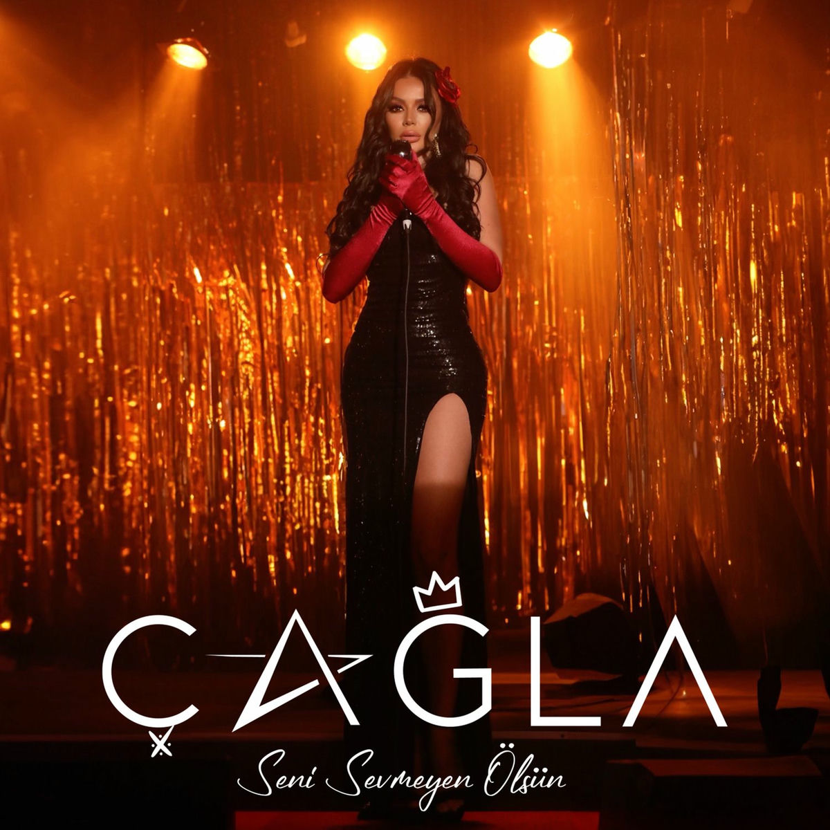 Album cover of Seni Sevmeyen Ölsün