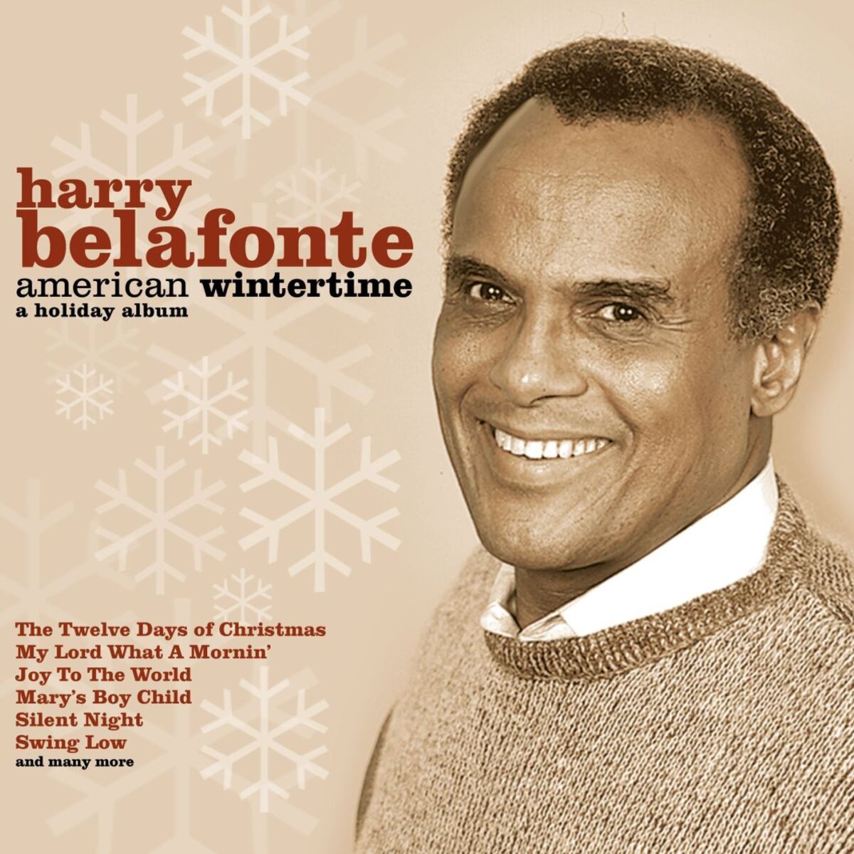 Album cover of American Wintertime