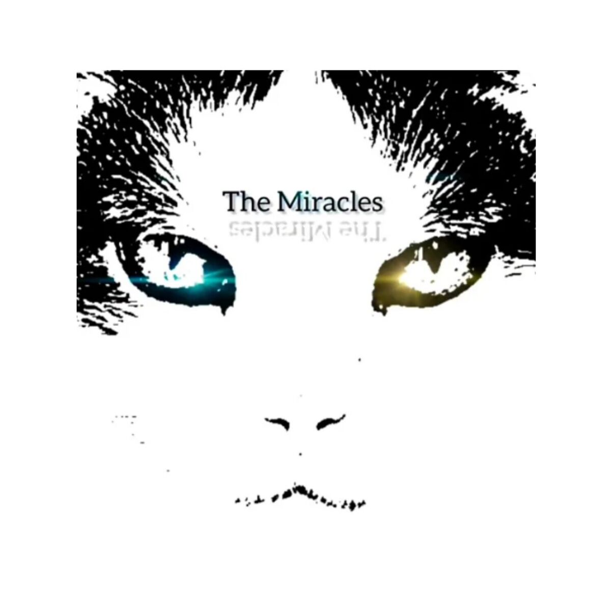 Album cover of New Age Paradise