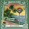 BRIXTON TOWN by Alborosie album cover