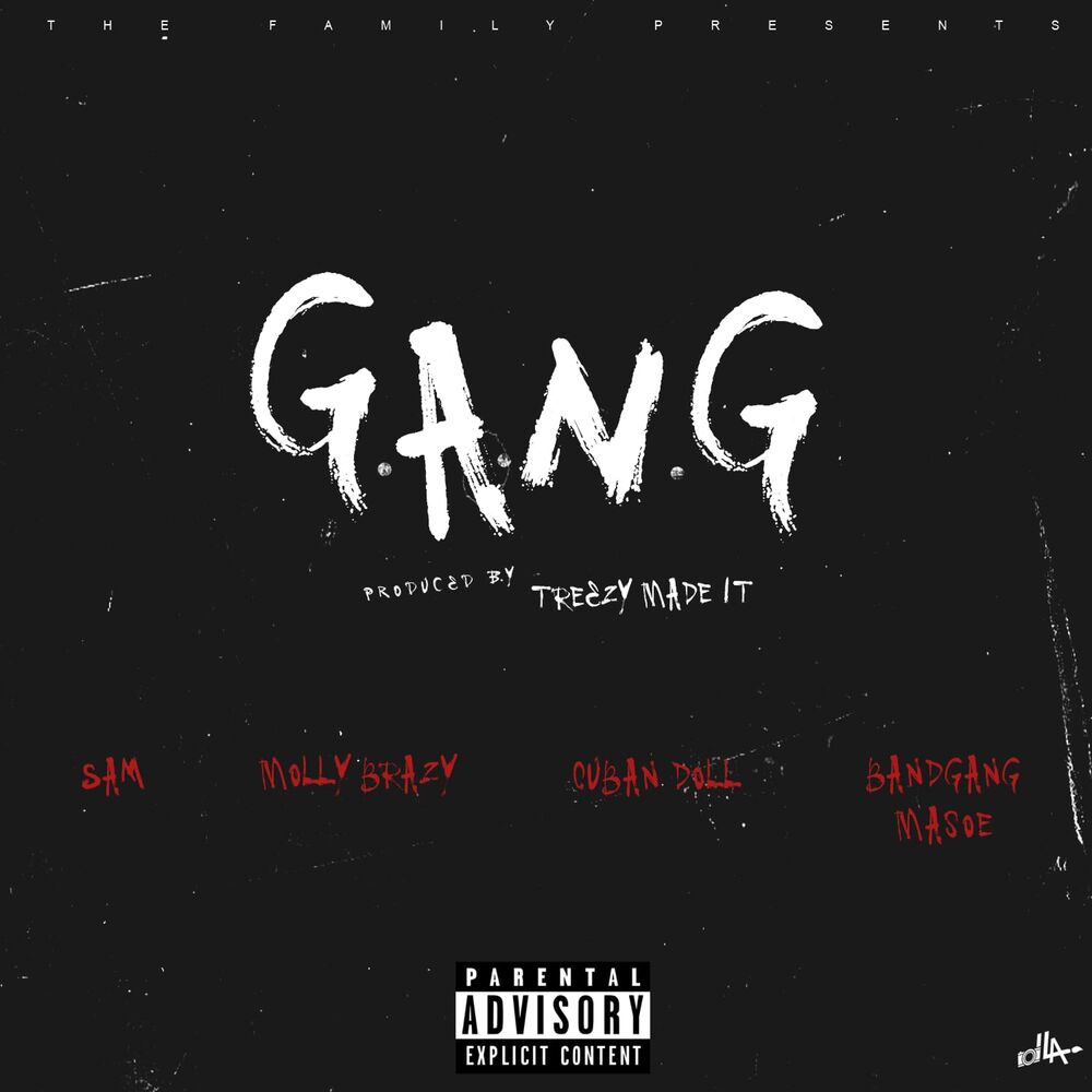 Picture of G.A.N.G