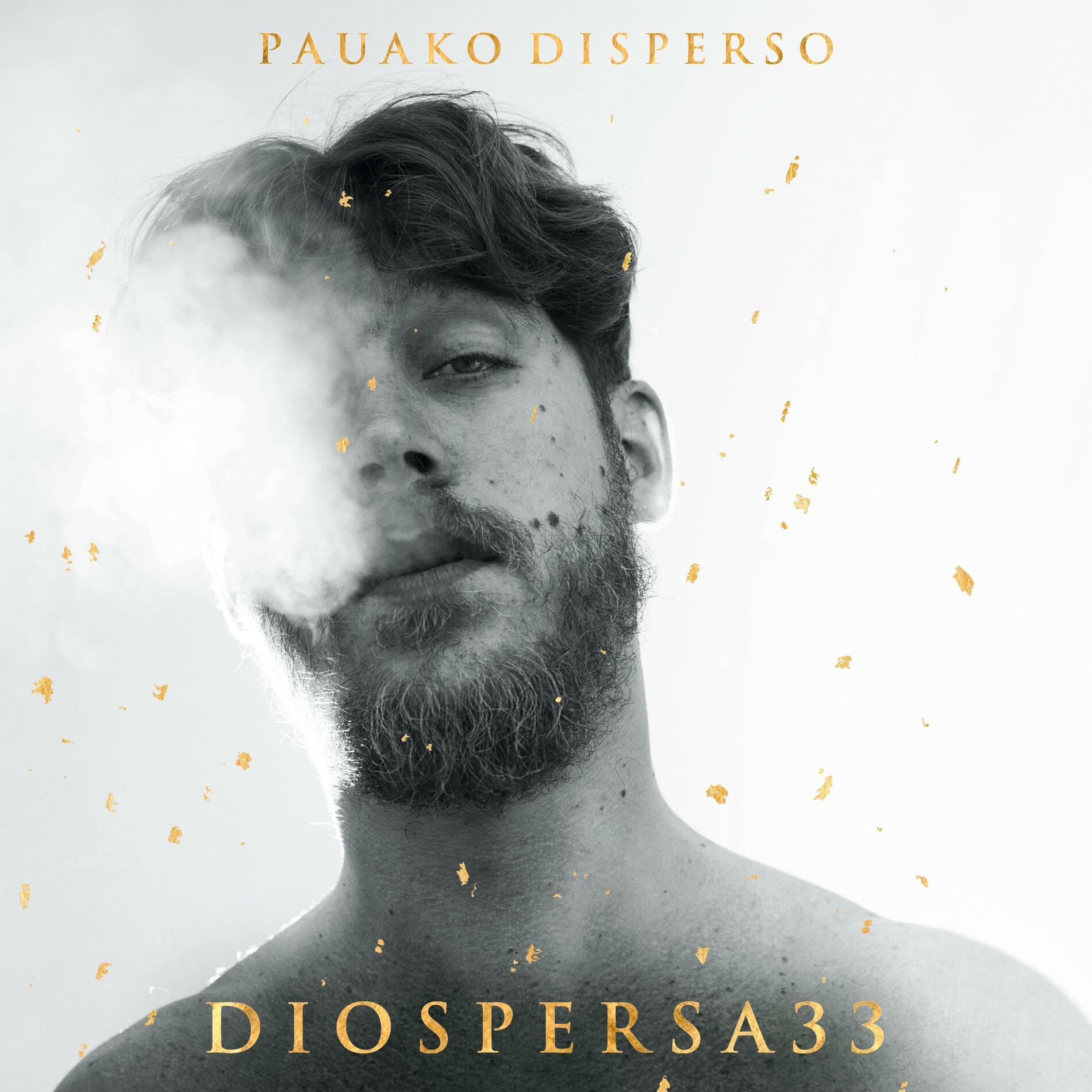 Album cover of Diospersa33