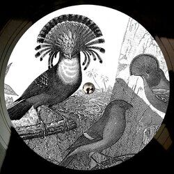 Cover of Anna Lunoe & Friends