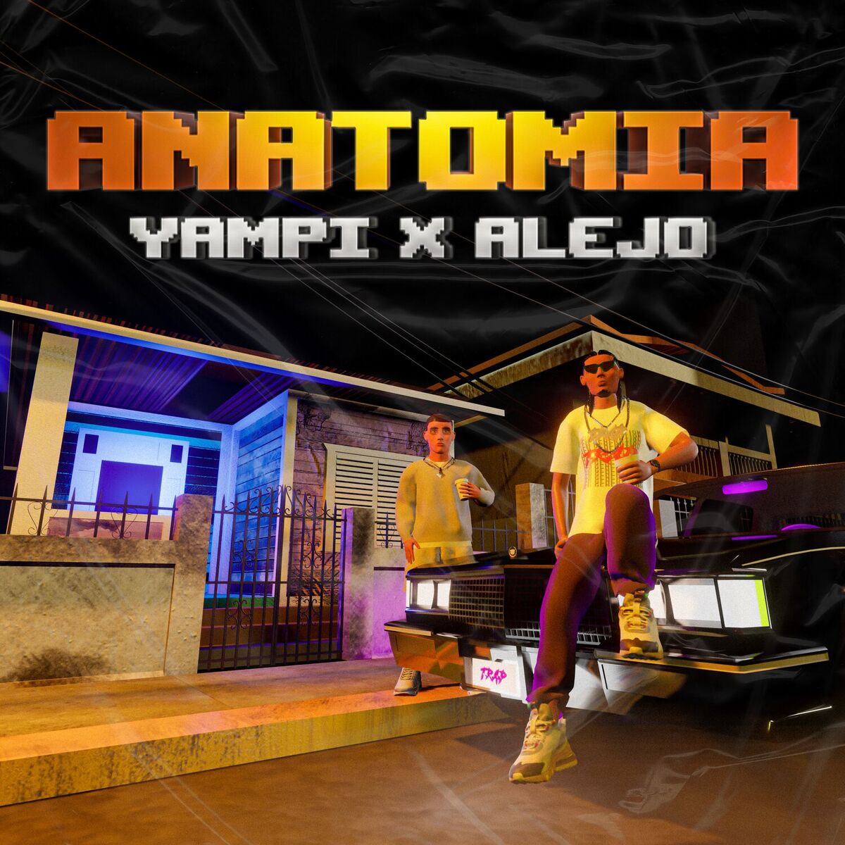 Album cover of Anatomia