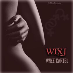 Cover of Why