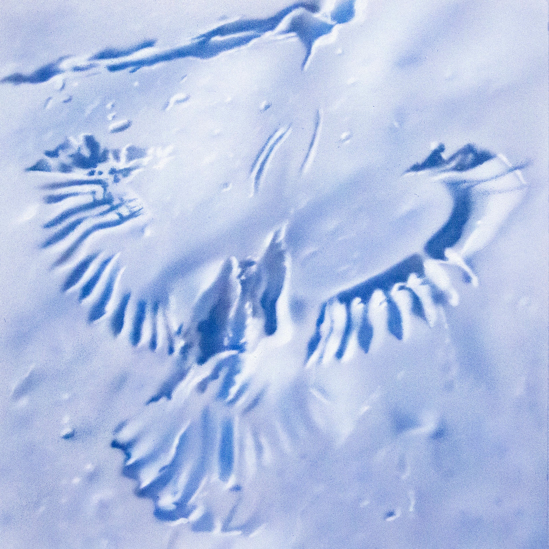 Album cover of Orchards