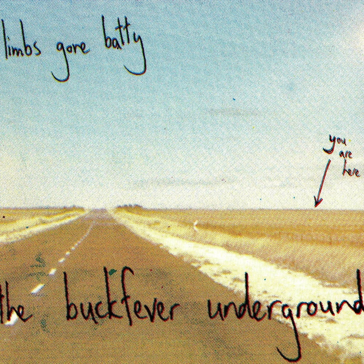 Album cover of Limbs Gone Batty