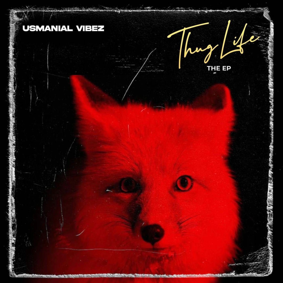Usmanial Vibez - Thug life | Deezer