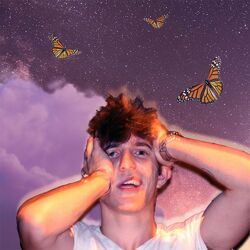 Cover of Fallen Once Again