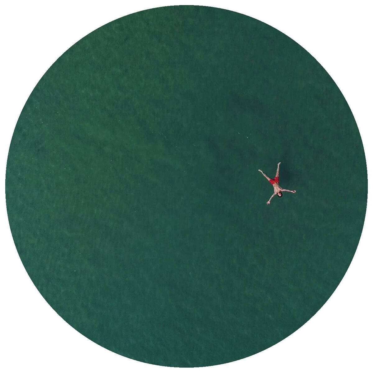Album cover of Cola Beach