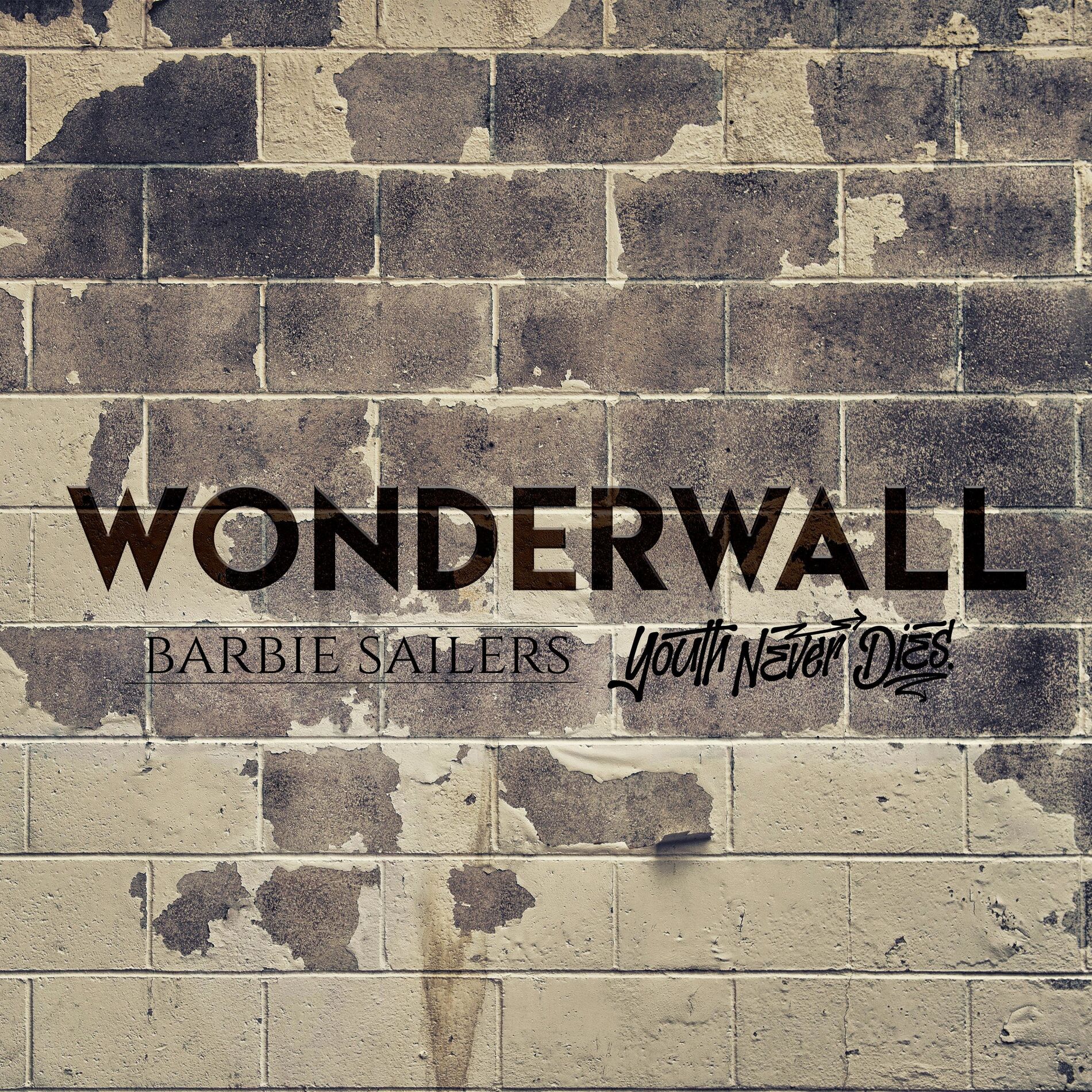 Album cover of Wonderwall (feat. Onlap)