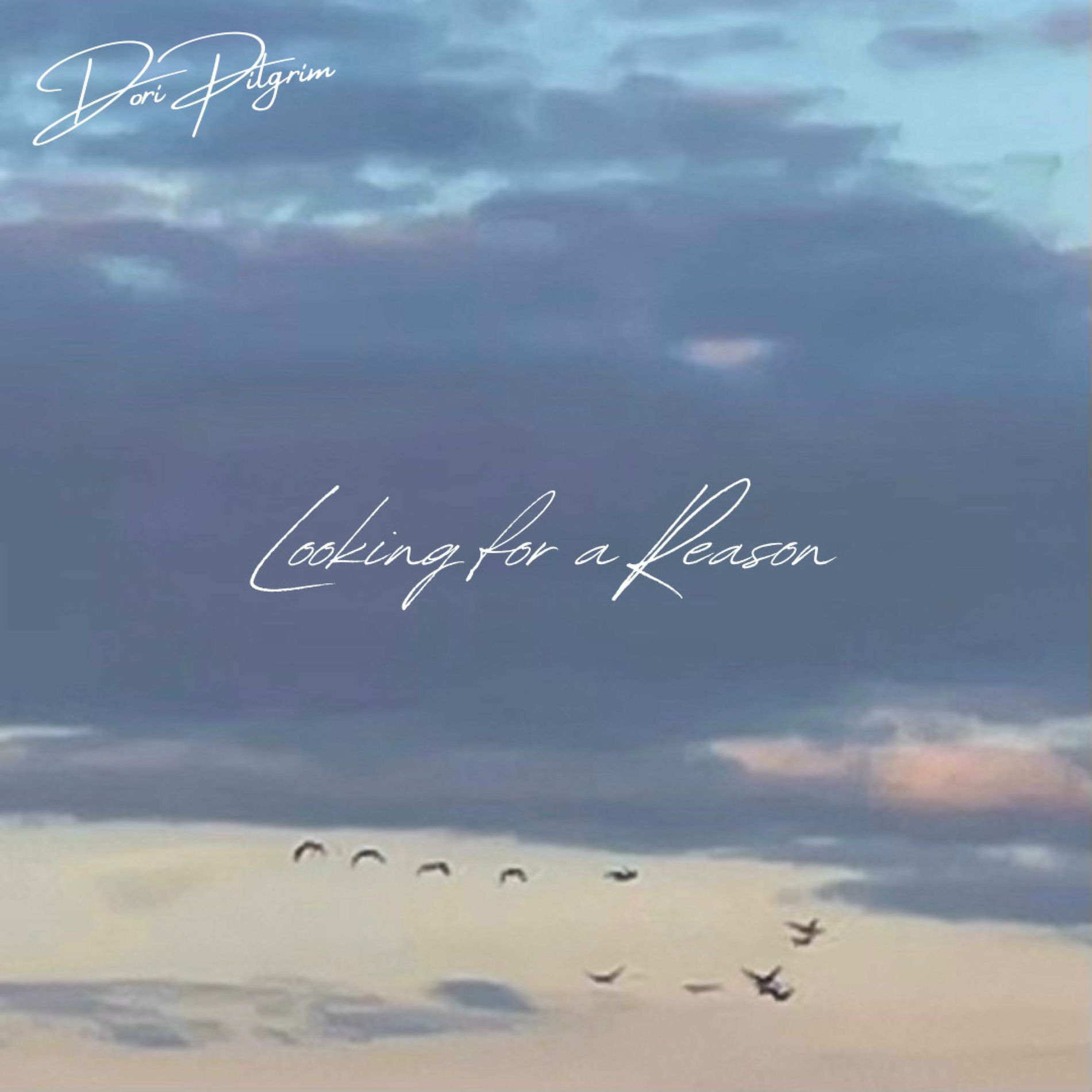 Album cover of Looking For A Reason (feat. David Campbell)