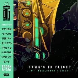 Cover of Hawk's in Flight