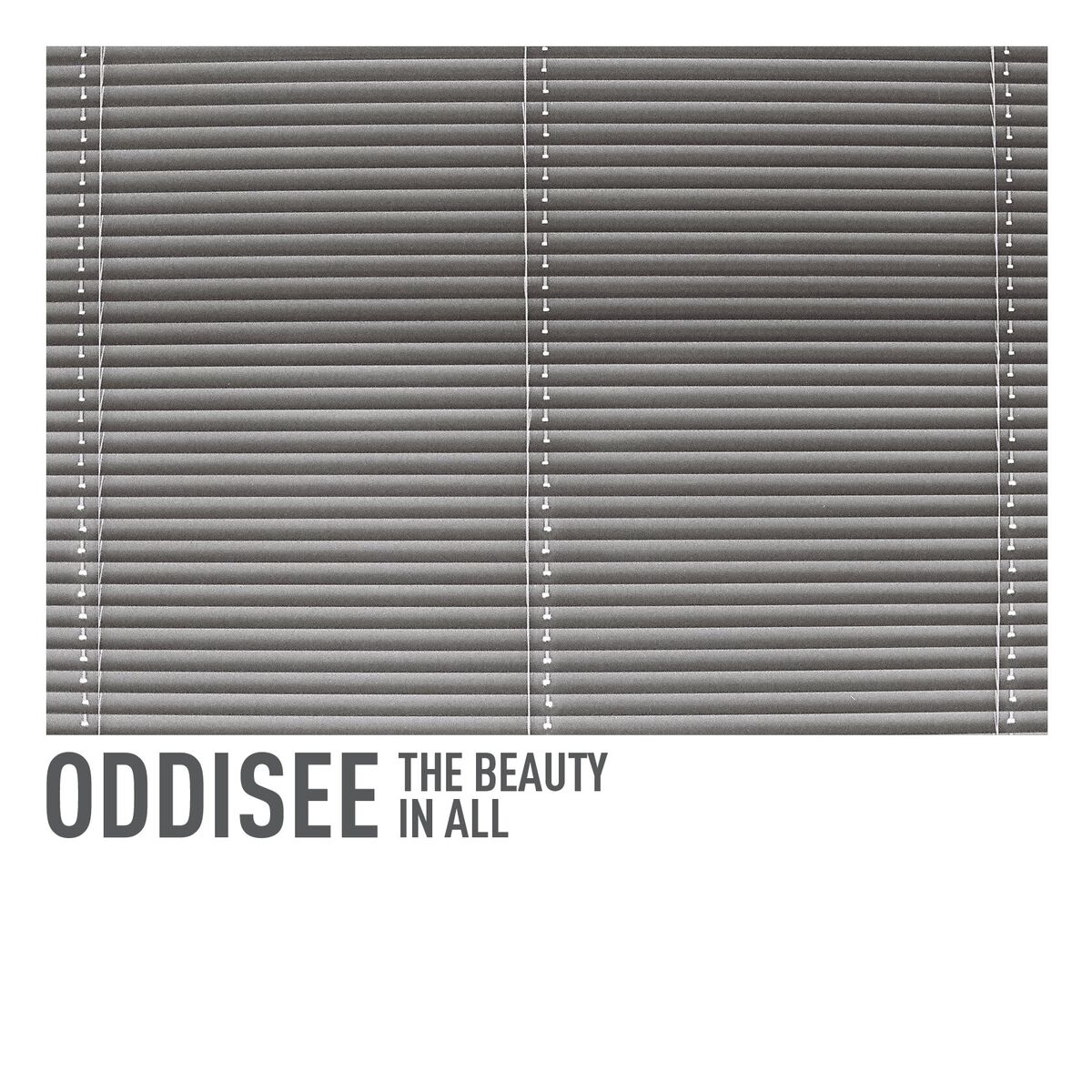 Album cover of The Beauty In All