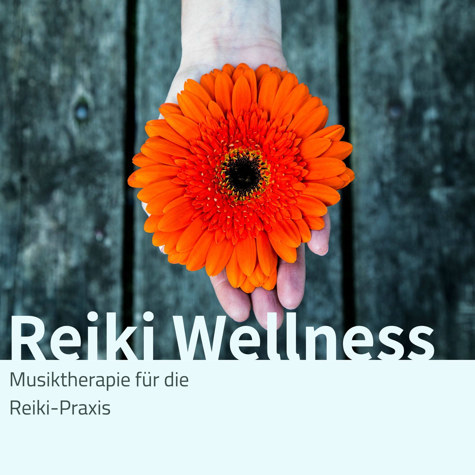 Album cover of Reiki Wellness: Musiktherapie für die Reiki-Praxis