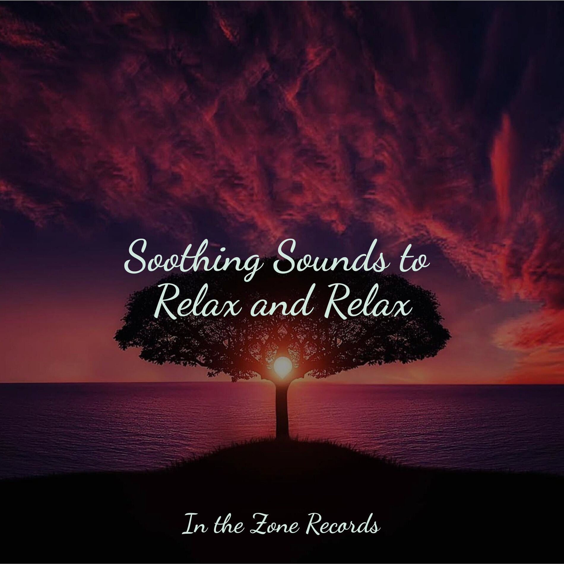 Album cover of Soothing Sounds to Relax and Relax