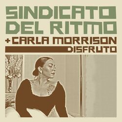 Cover of Disfruto