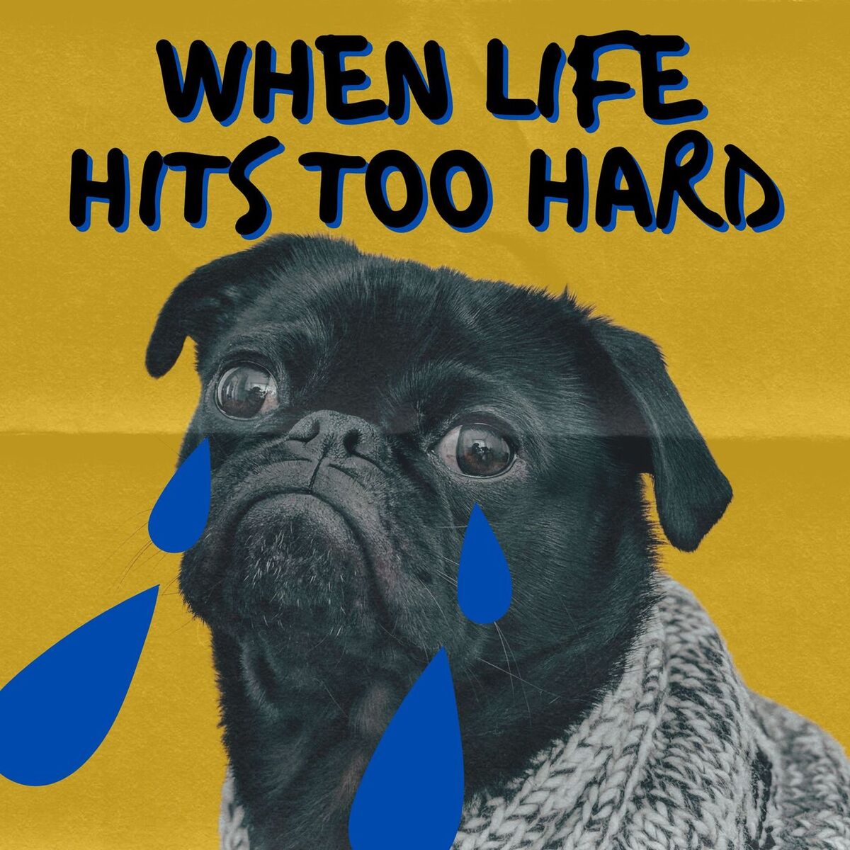 Album cover of When Life Hits Too Hard