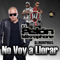 Cover of No Voy a Llorar