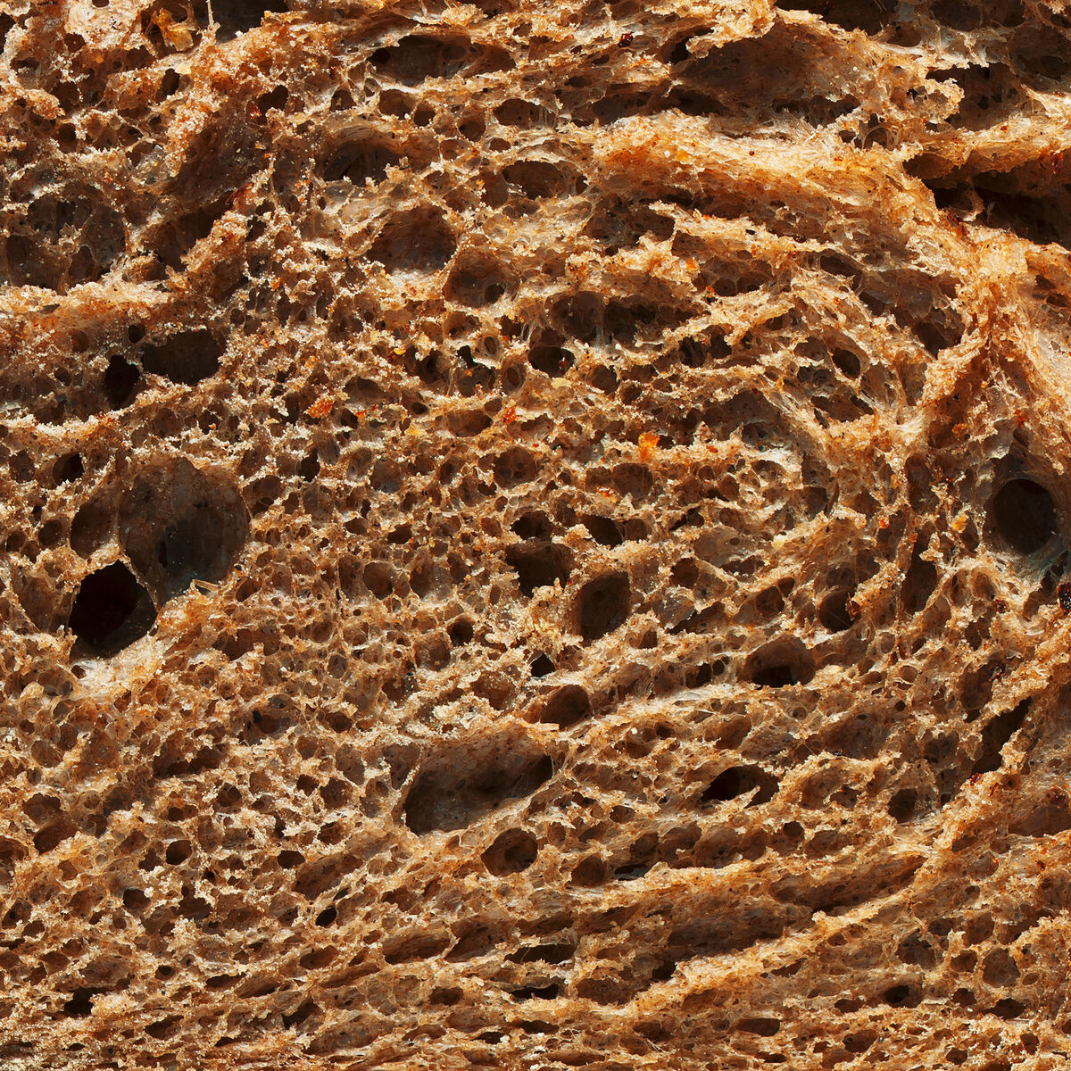 Album cover of Paninoteca