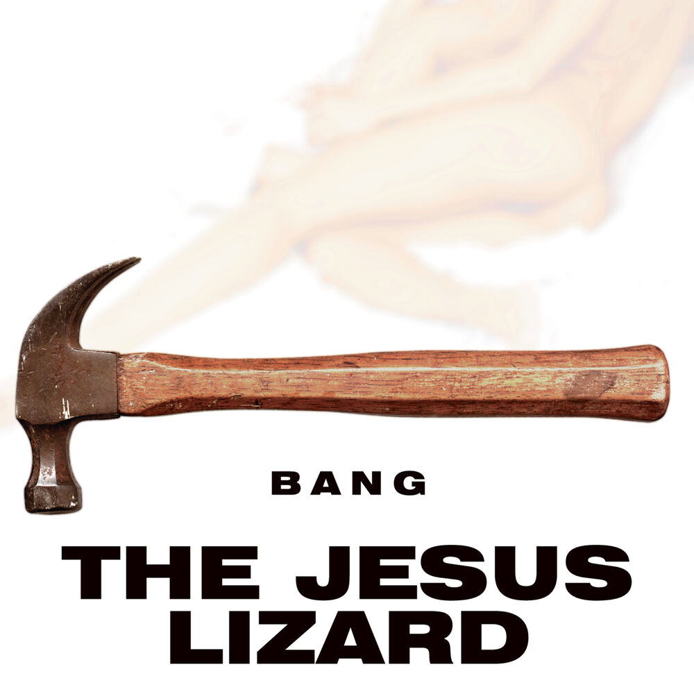 Picture of Bang