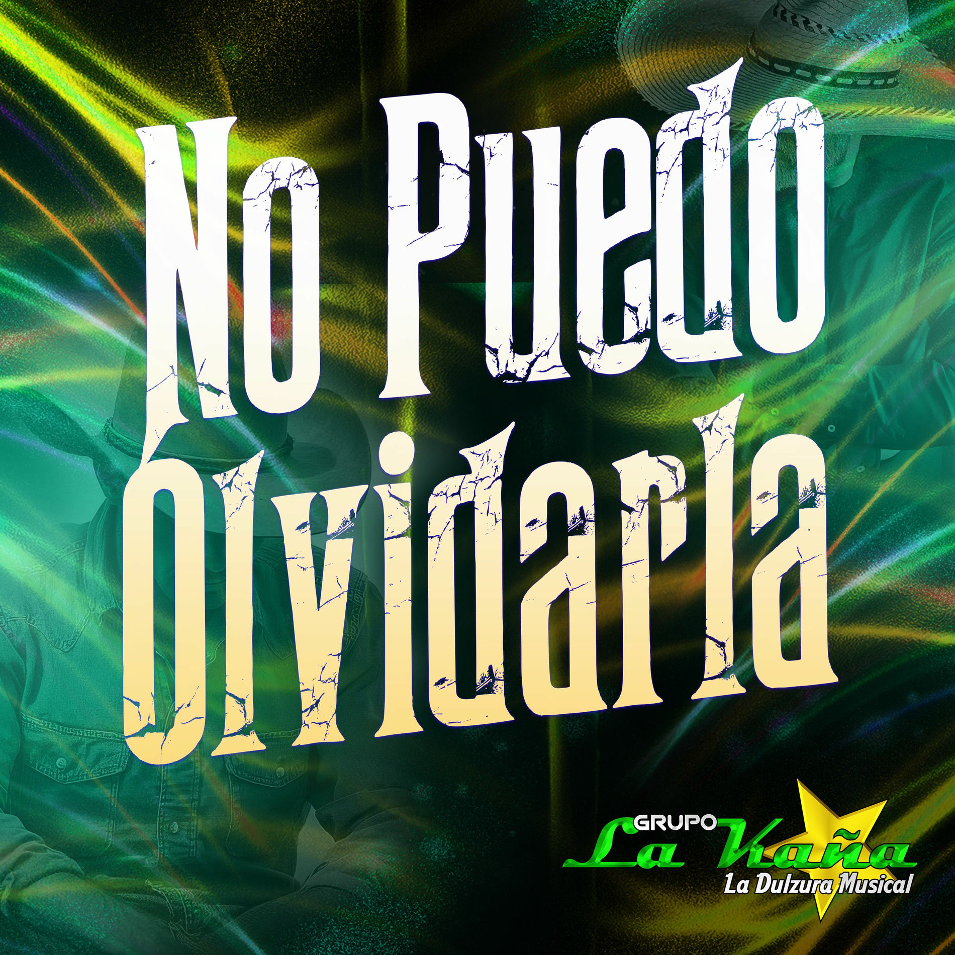 Album cover of No Puedo Olvidarla