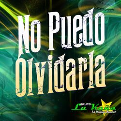 Cover of No Puedo Olvidarla