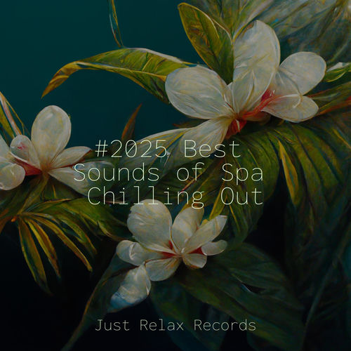 #2025 Best Sounds of Spa Chilling Out