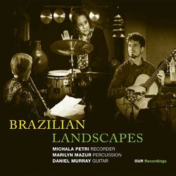Cover of Brazilian Landscapes