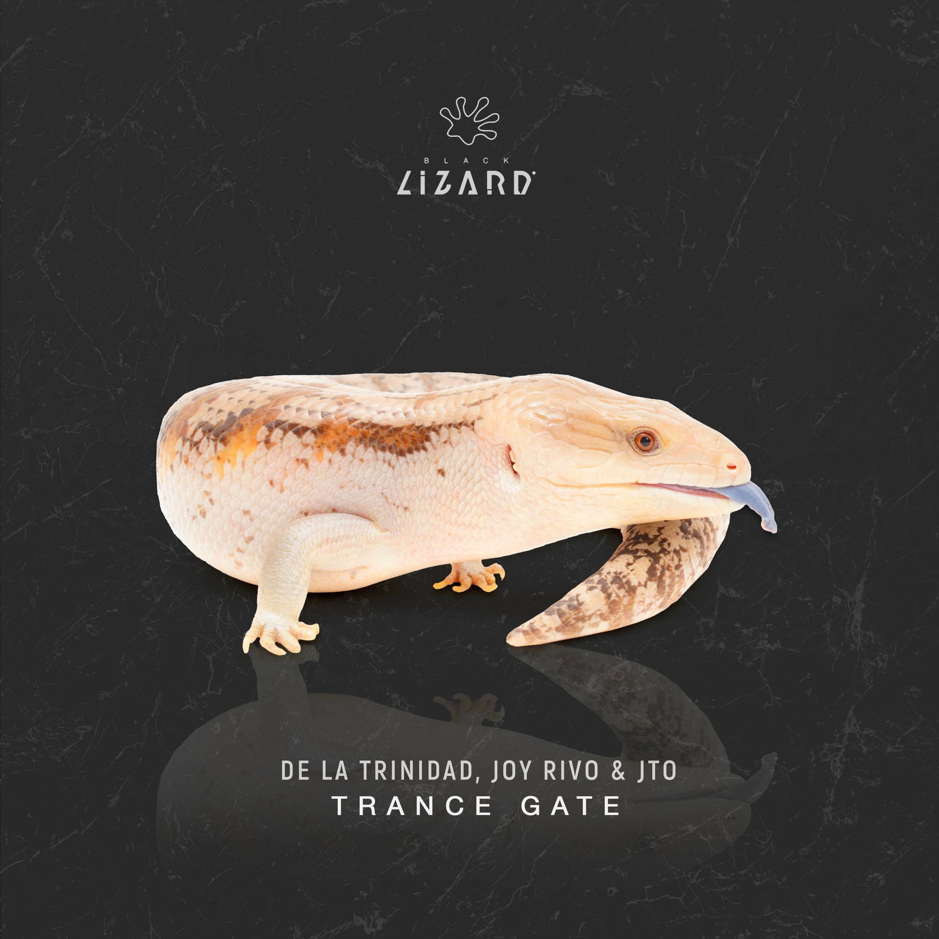 Album cover of Trance Gate