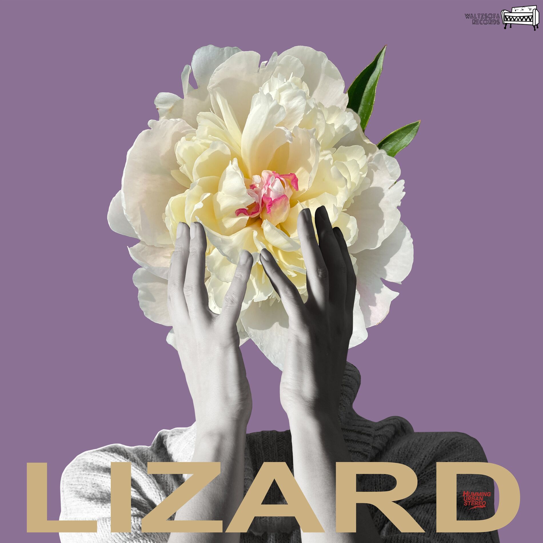Album cover of LIZARD