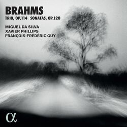 Cover of Brahms: Trio, Op. 114 & Sonatas, Op. 120