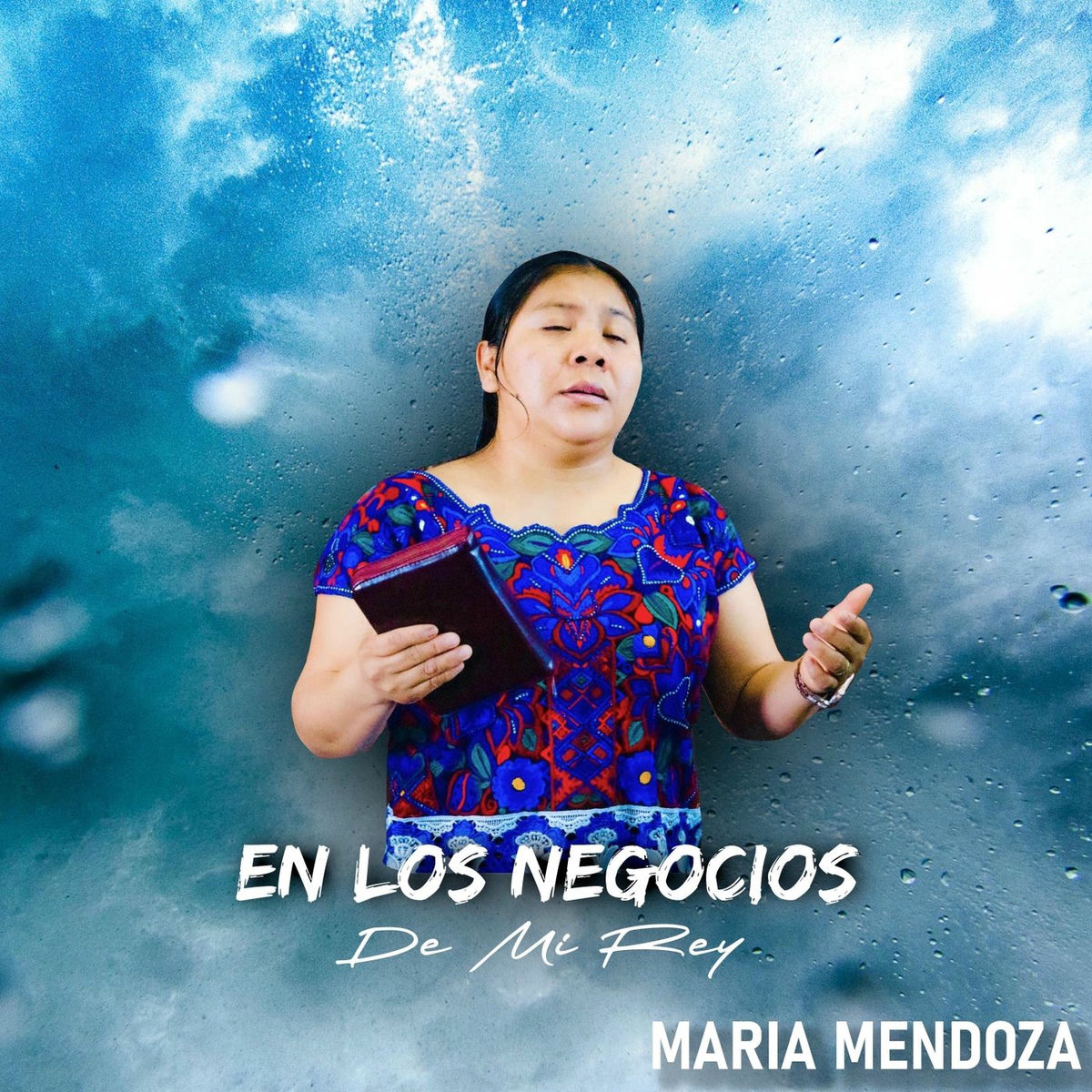 Album cover of En Los Negocios De Mi Rey