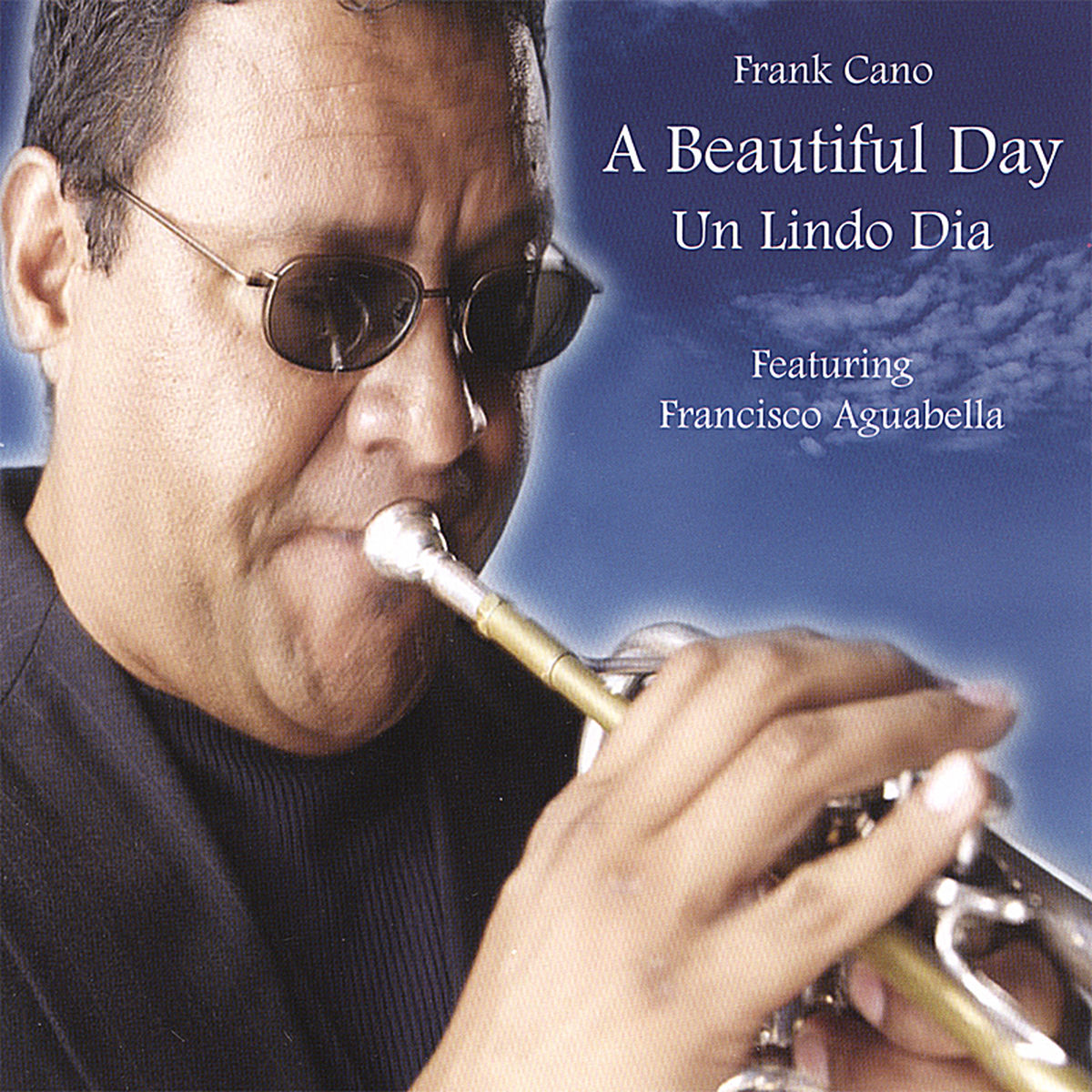 Album cover of A Beautiful Day (Un Lindo Dia)