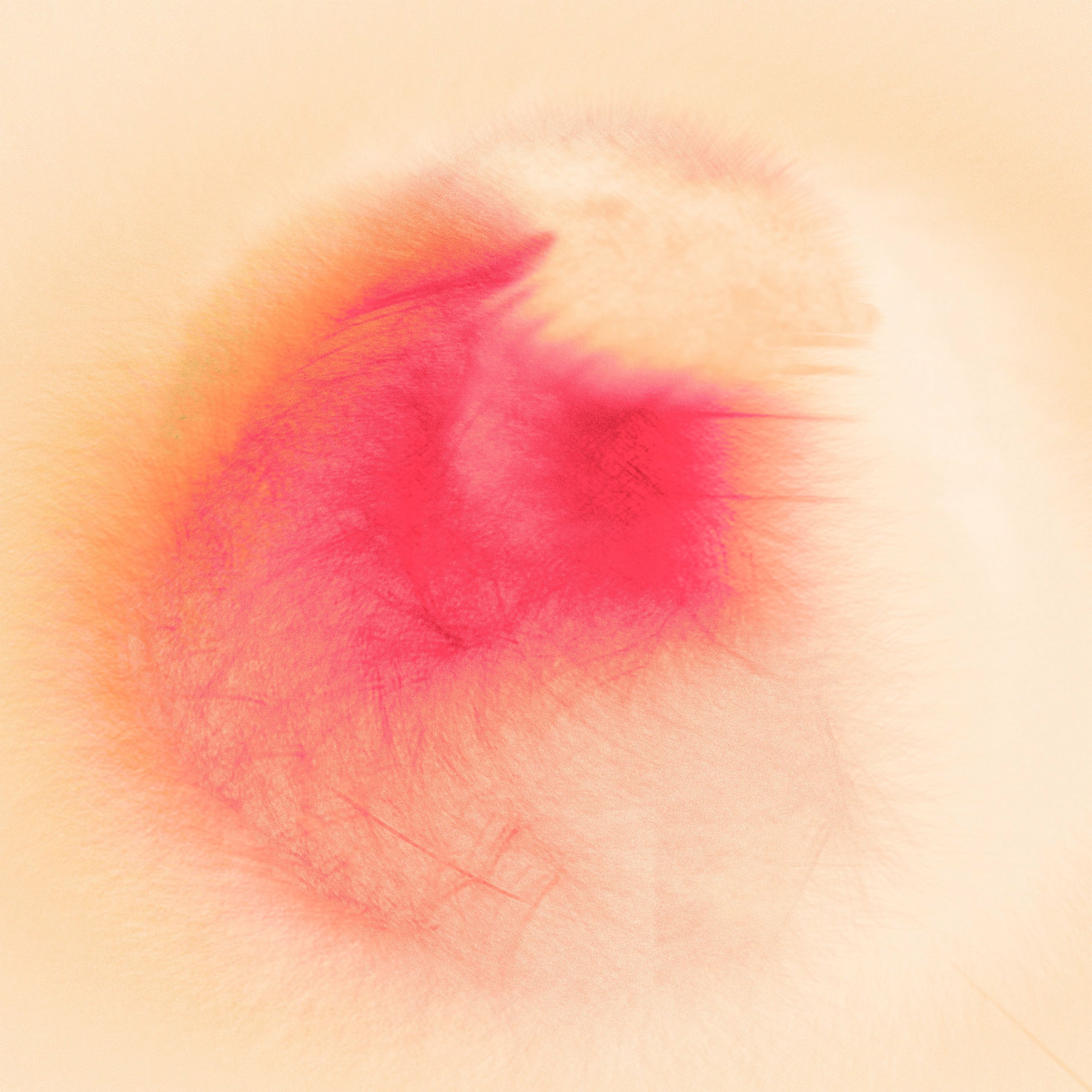 Album cover of Cortège for Clouds