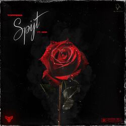 Cover of Spijt