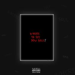 Cover of Where to see you soul?