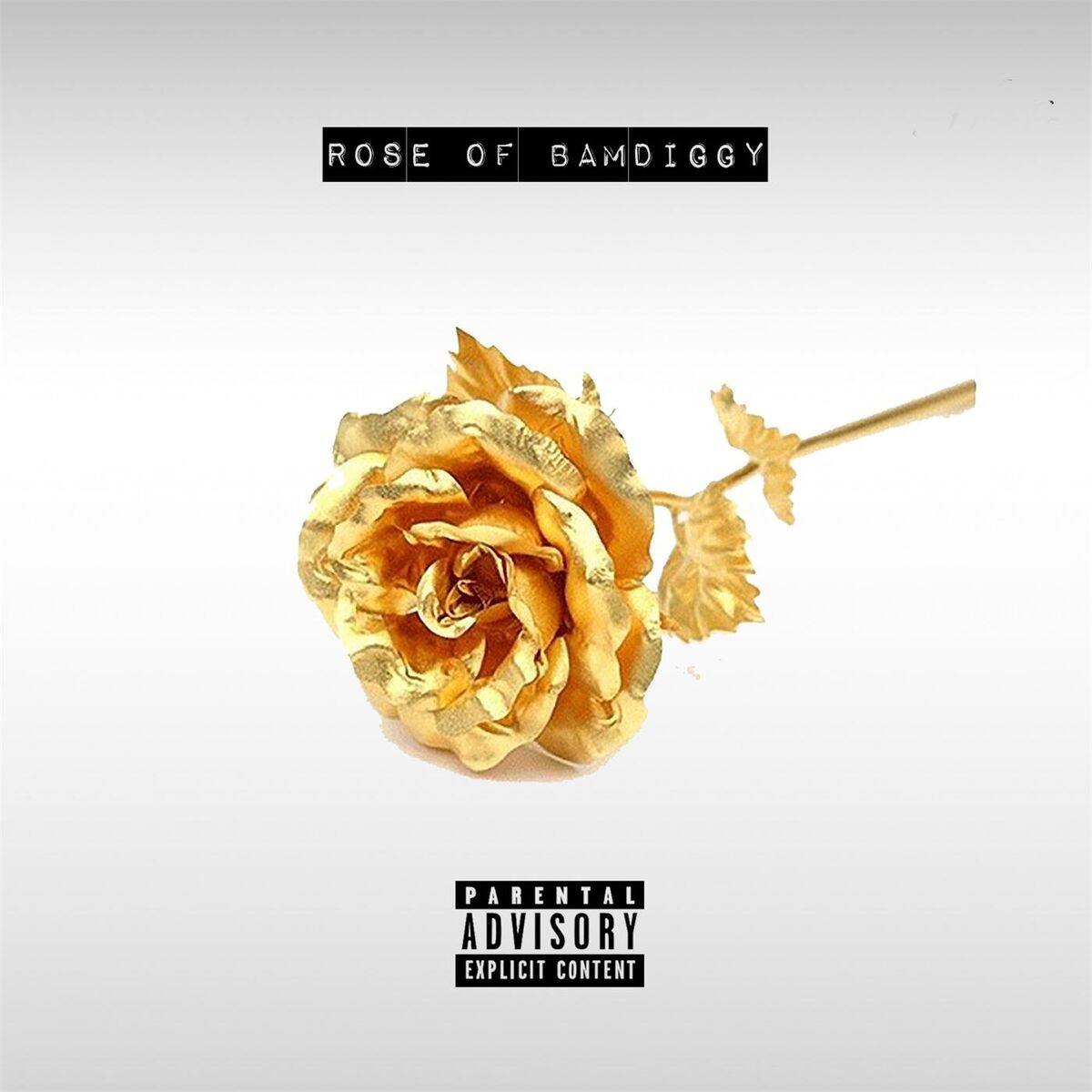 Album cover of Rose of Bamdiggy