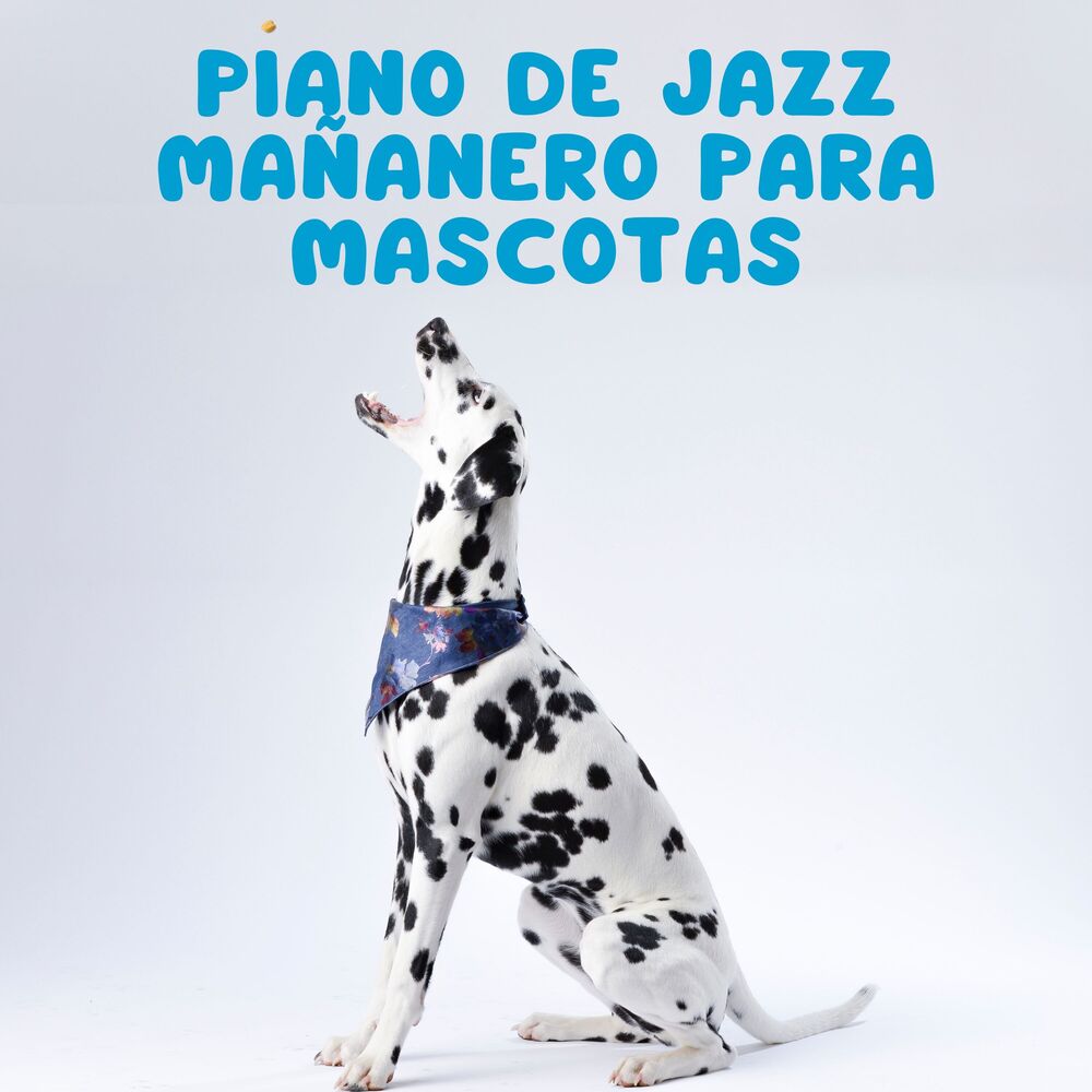 Picture of Piano De Jazz Mañanero Para Mascotas