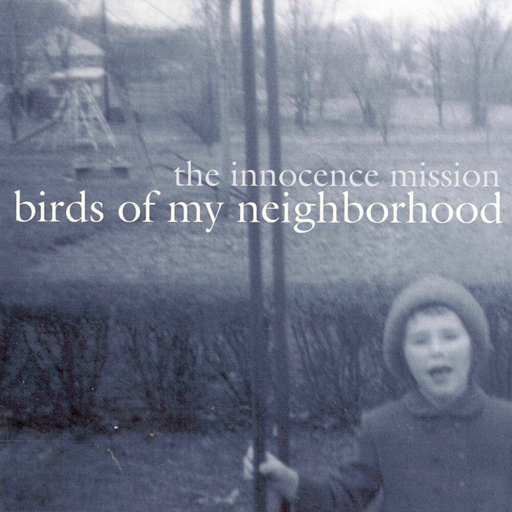 Picture of Birds Of My Neighborhood