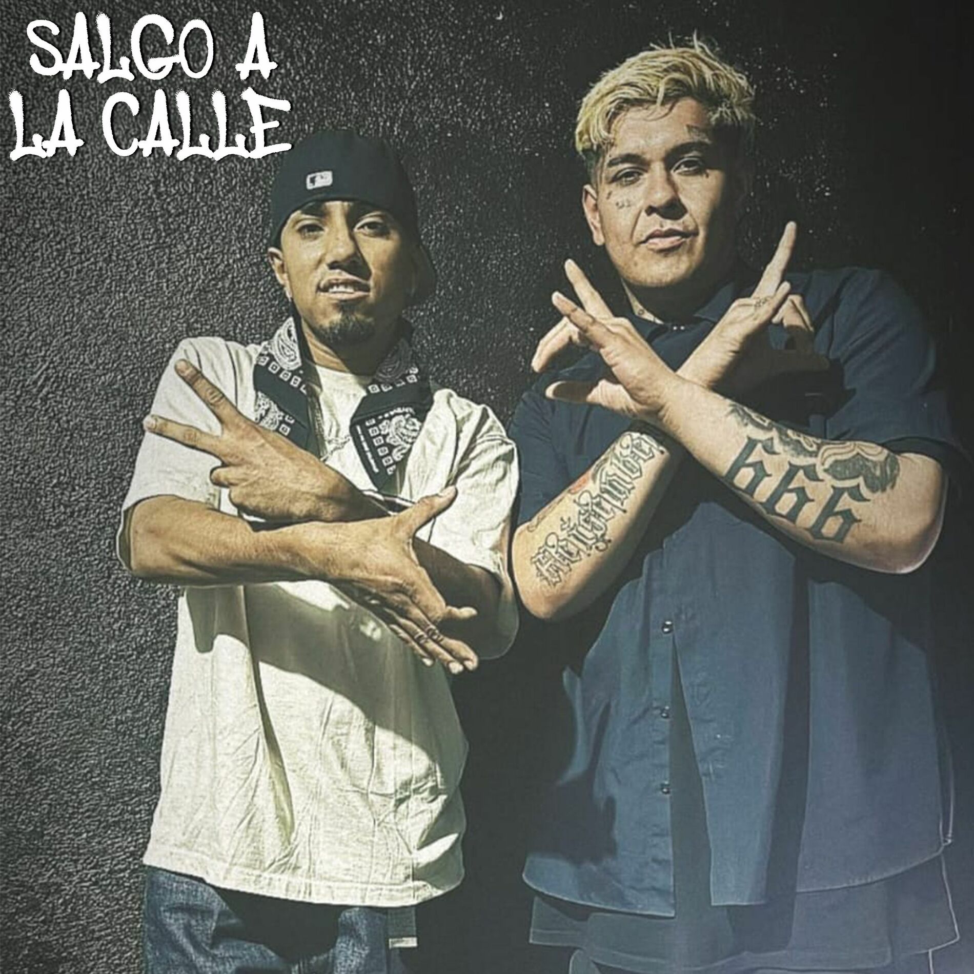 Album cover of Salgo a la Calle