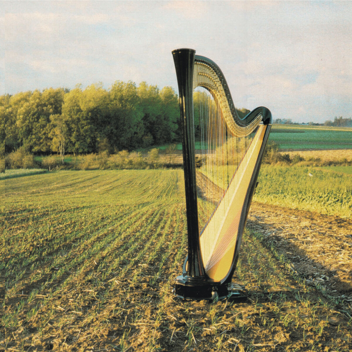 Album cover of Educes Me