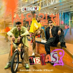 Cover of Te Vas