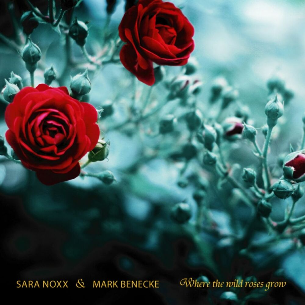 Picture of Where the Wild Roses Grow