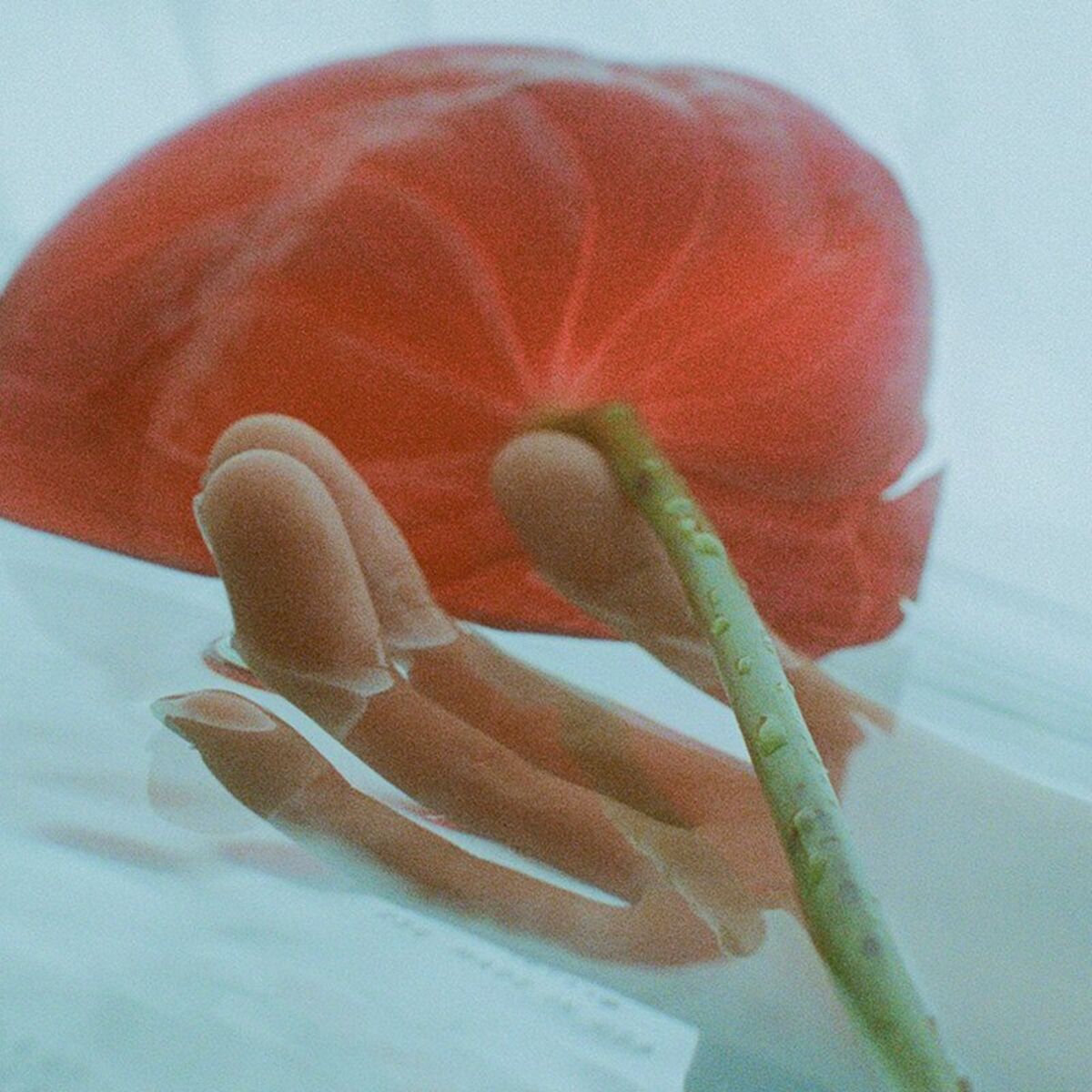 Album cover of SHALLOW (PPL SWIM IN SHALLOW WATER)