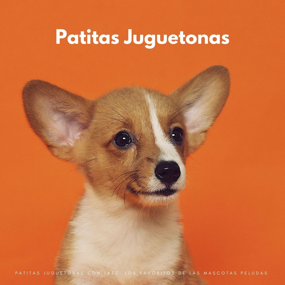 Picture of Patitas Juguetonas Con Jazz: Los Favoritos De Las Mascotas Peludas