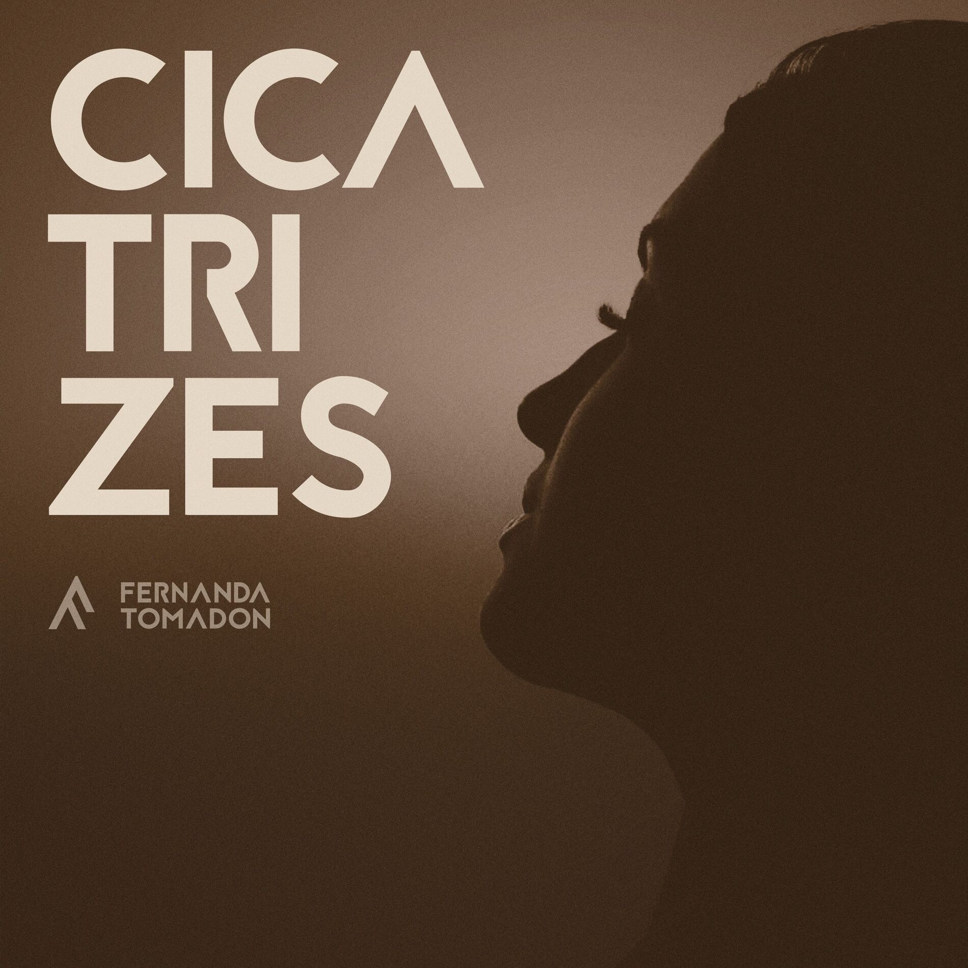 Album cover of Cicatrizes